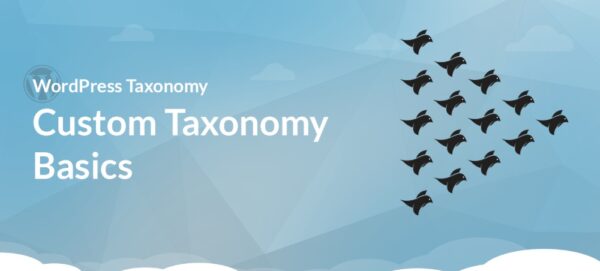 Custom taxonomy trong wordpress
