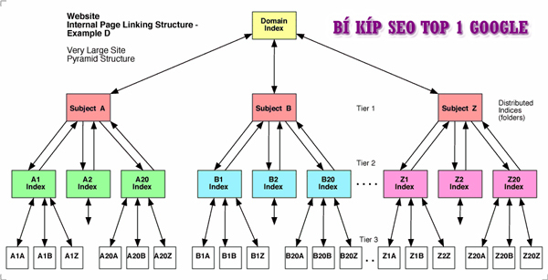 cau-truc-website-bi-an-phia-sau-thu-hang-top-dau-tren-google
