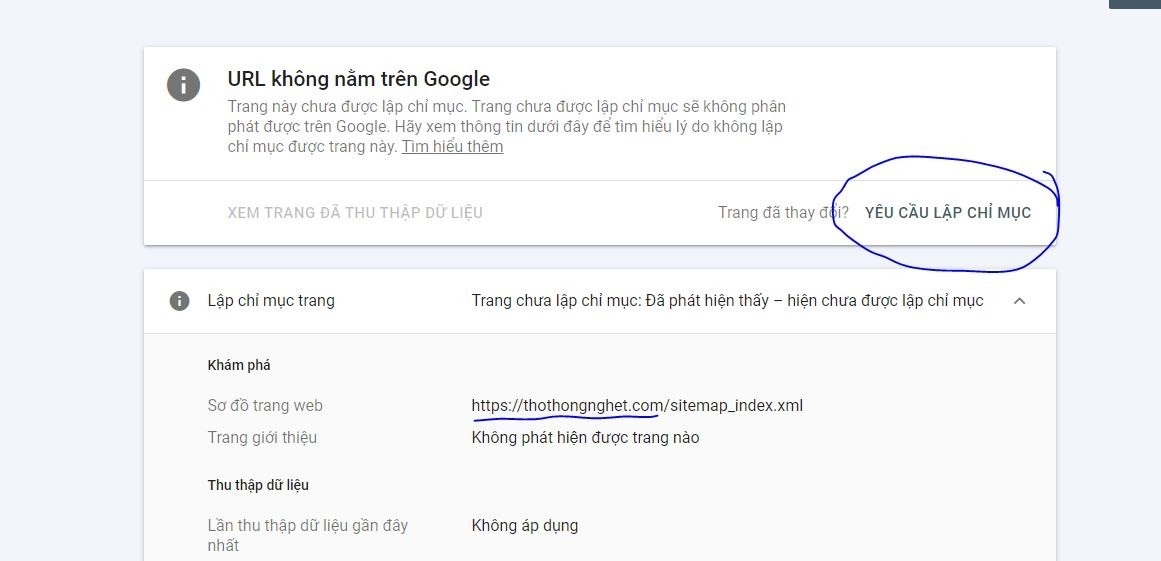 Hãy cùng tìm hiểu lý do Google không index nội dung của bạn