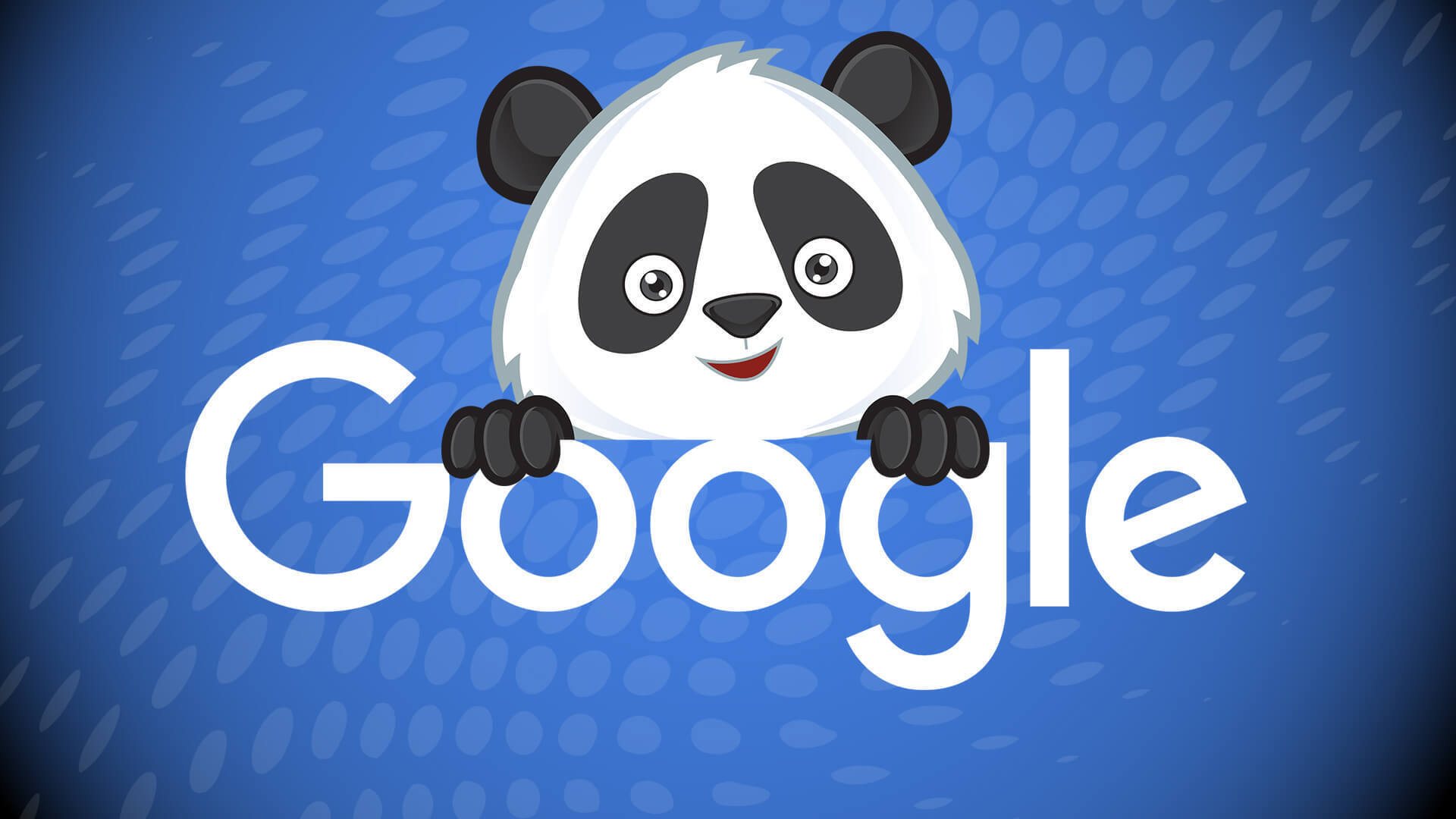 google-panda-mot-phan-cua-thuat-toan-loi-google