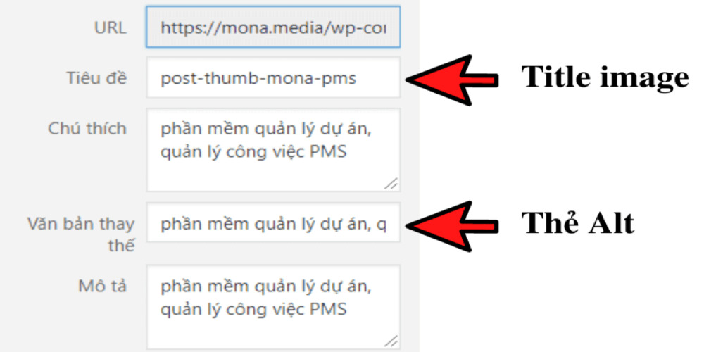 hinh-anh-va-seo-toi-uu-hoa-the-alt-text-va-title-text-cho-website