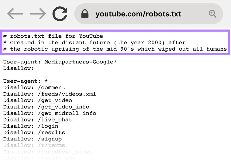 Hướng dẫn cơ bản về robots.txt 4