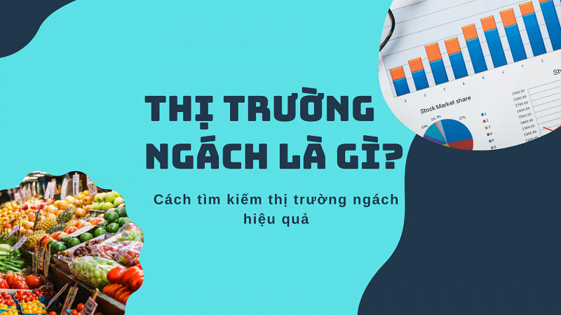 Kham-pha-ngach-thi-truong-cua-ban-qua-4-buoc-co-ban