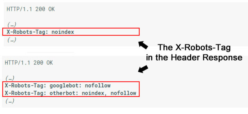 Tiêu đề HTTP X-Robots-Tag là gì Và làm thế nào để sử dụng nó 4