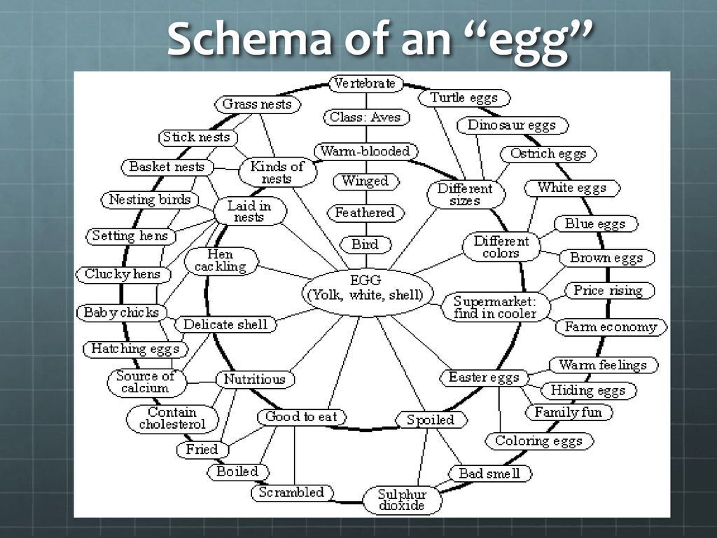 tuong-lai-cua-seo-schema-va-cuoc-cach-mang-tim-kiem