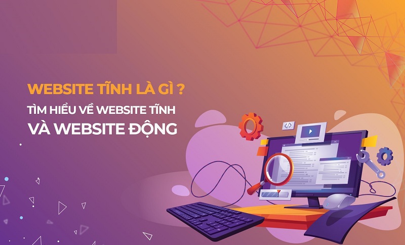 Website-tinh-la-gi-5-bi-mat-dang-sau-suc-manh-cua-WordPress-tinh