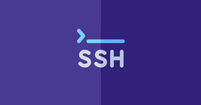 Cài đặt Rank Math với SSH 3