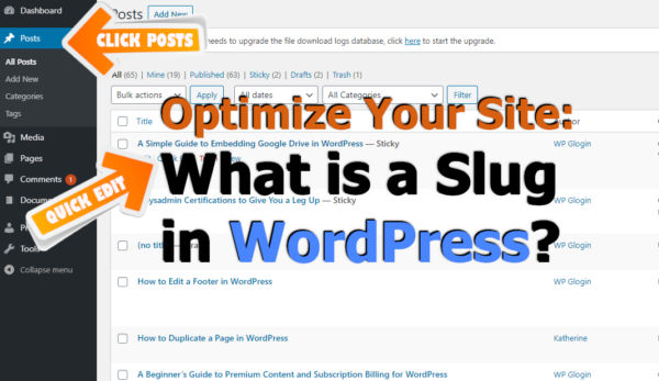 slug-trong-wordpress-la-gi-va-cach-toi-uu-hoa-chung-hieu-qua